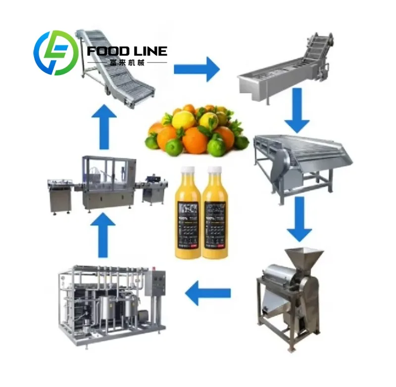Portable Small Scale Fruit Juice Production Line Easy Installation Washing Juicing Bottling Equipment For Mobile Beverage