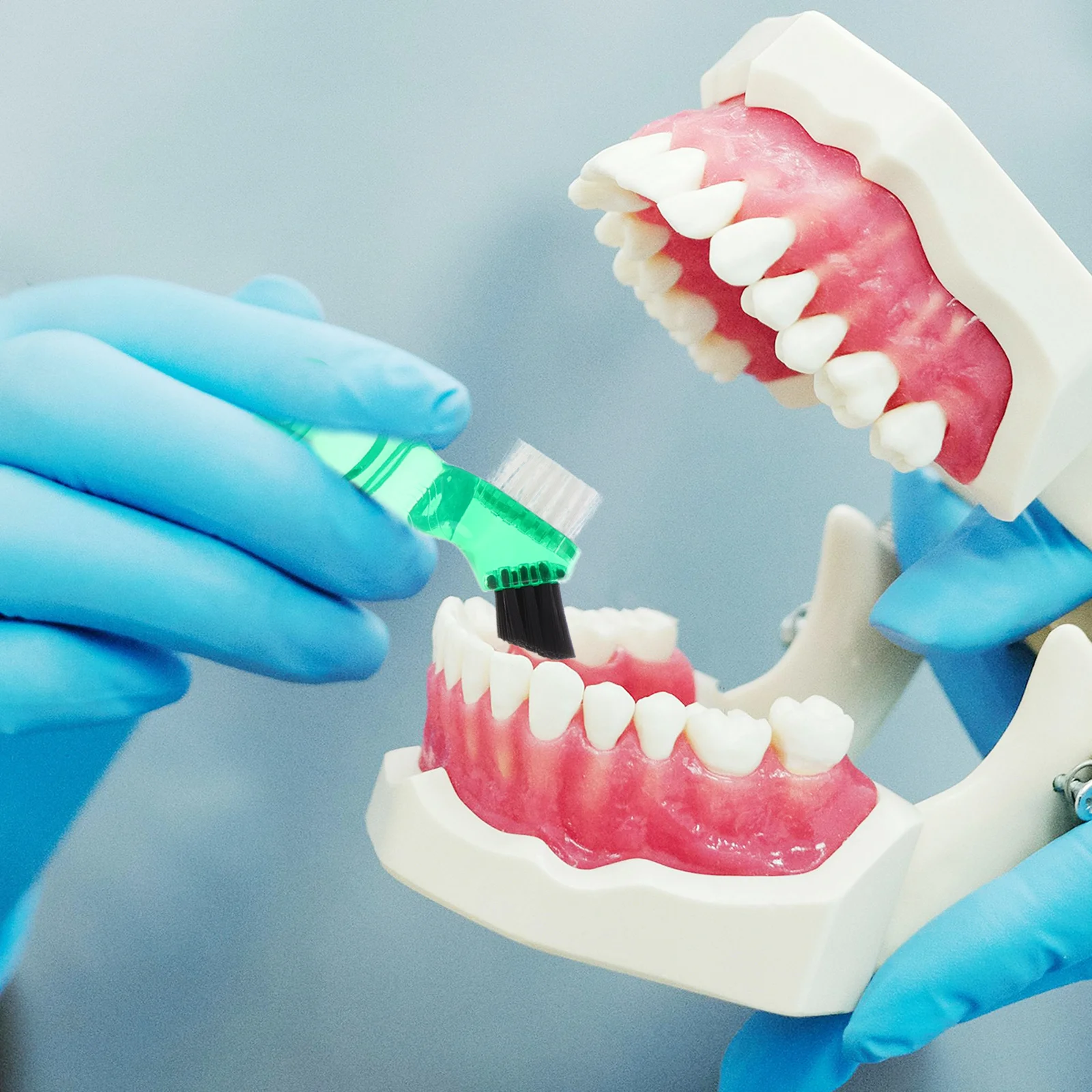 

4Pcs Short Handle Denture Brush Non Slip Toothbrush False Teeth Cleaner Dental Retainer Cleaning Tool Oral Hygiene