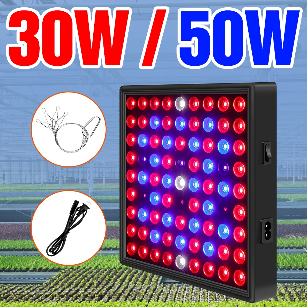 

Quantum Board Phyto LED Grow Light Greenhouse Full Spectrum Hydroponics Lamp For Flower Boxes Cultivation Phytolamp Grow Tent