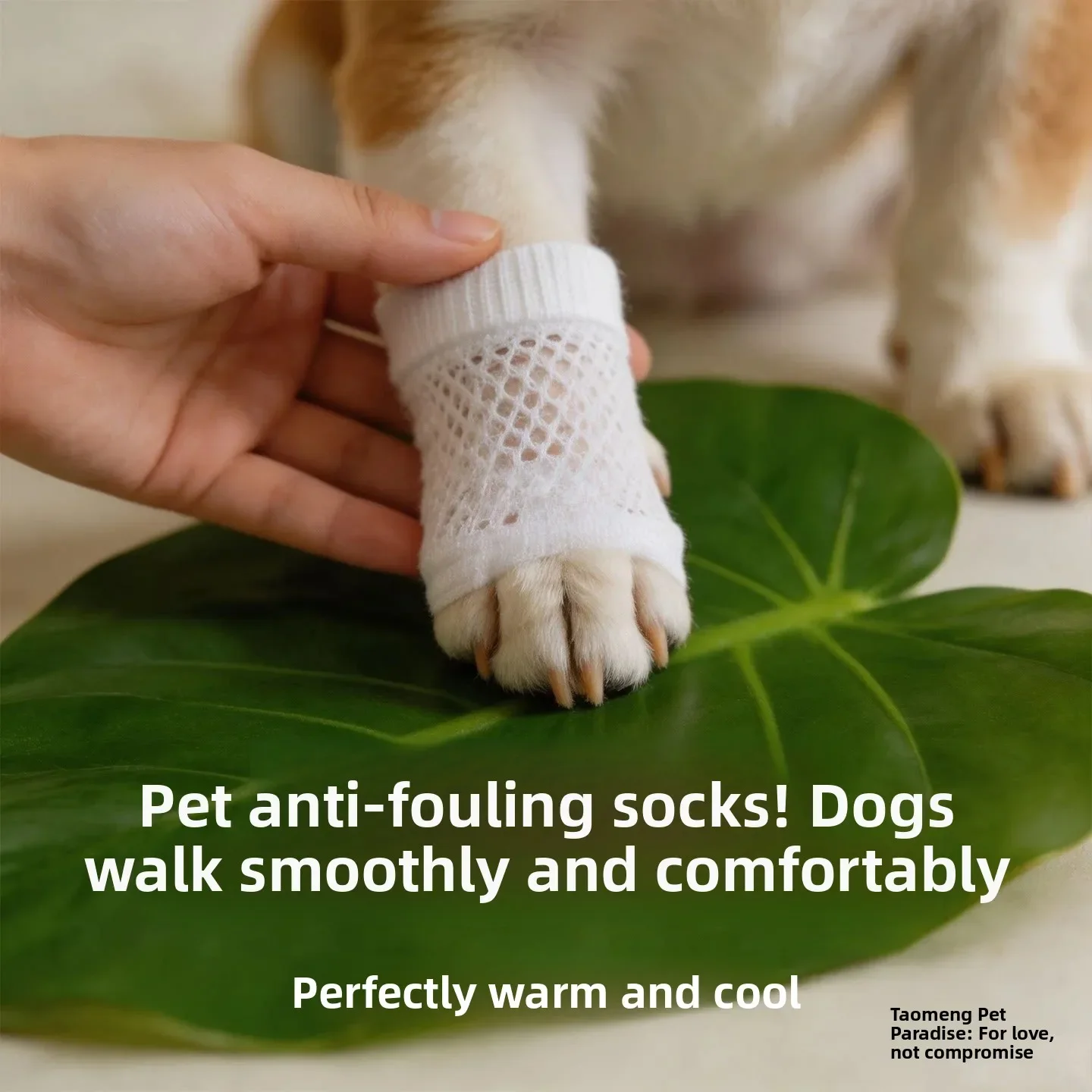 Pet Dog Summer Breathable Anti Dirty Socks Leg Cover for Teddy Bichon Pomeranian Small Dogs Urine Proof Protector