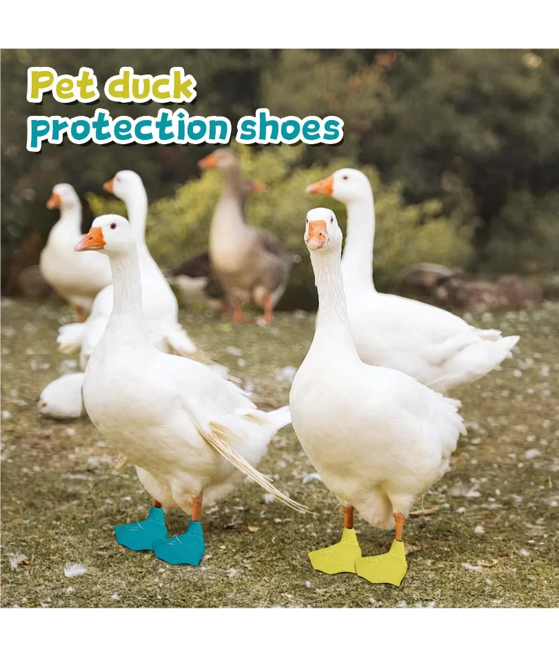 

Pet Supplies Duck Goose Shoes Pet Cole Foot Poultry Boots Pet Duck Boots with Protective Soles Protective Shoe Set Pet Products