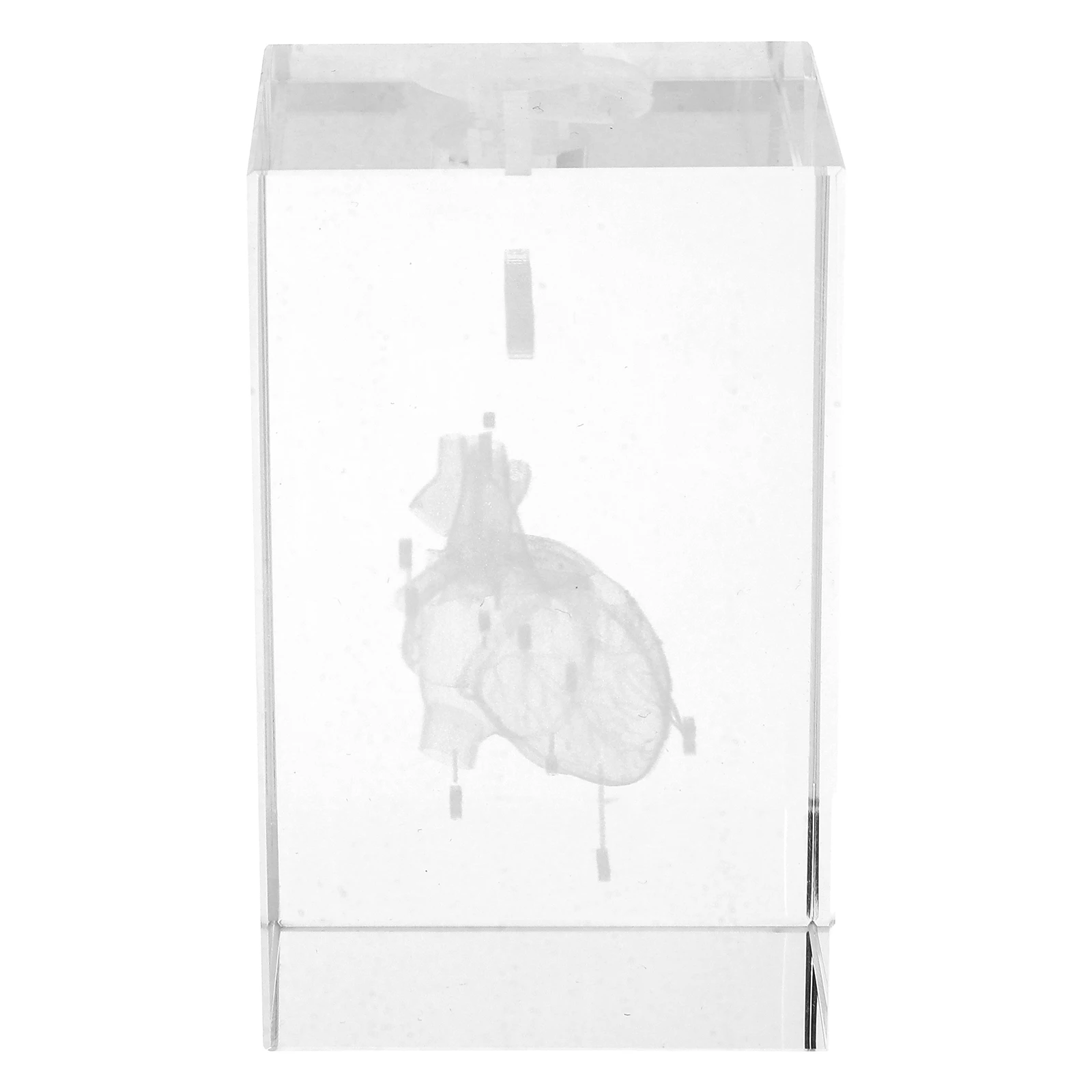 

Crystal Carved Ornaments 3D Heart Anatomy Model Intricate Engraving Crystal Structure Educational Display Figurine Cube Decor