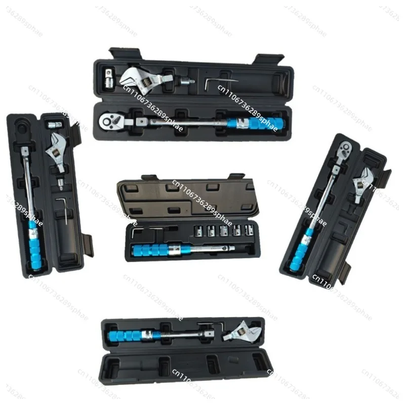 High Precision Adjustable Torque Wrench Set, Preset Mini Ratchet Torque Wrench