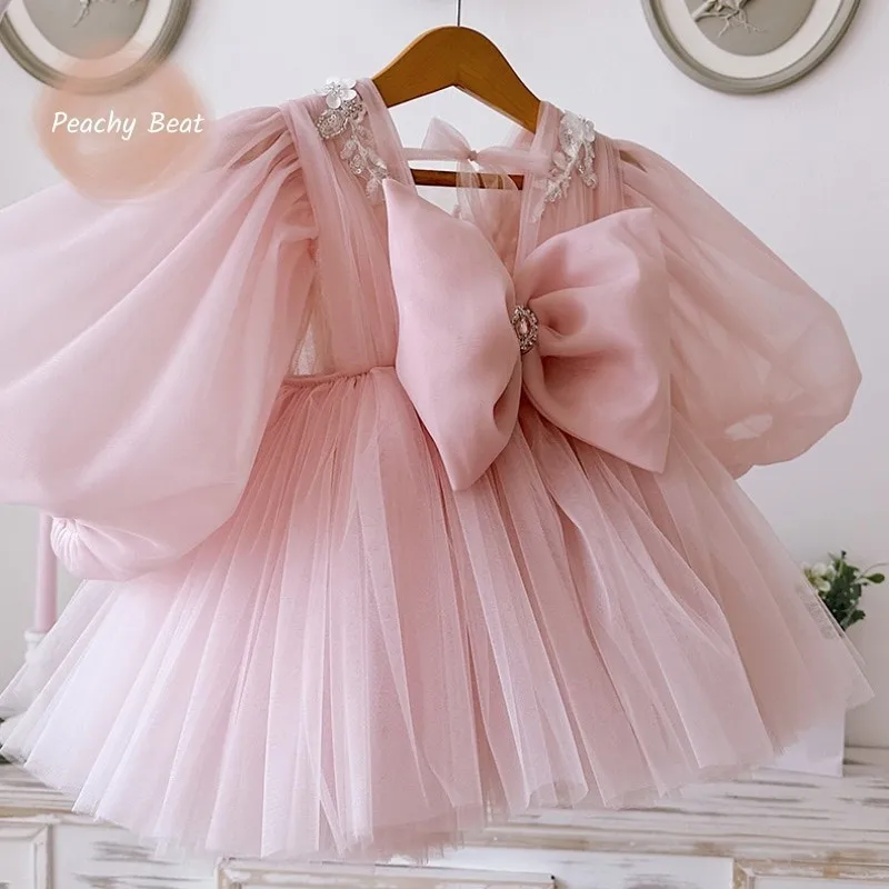 

Baby Girl Princess Ruffled Tutu Dress Long Puff Sleeve Toddler Child Appliques Tulle Vestido Birthday Party Baby Clothes 18M-7Y