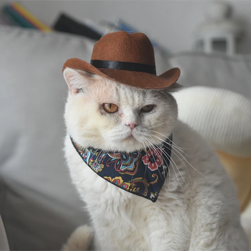 Cat Cowboy Hat Pet Bandana and Hat Set Western Cowboy Hat for Cat Dog Helmet Straw Pet Hat Pet Products