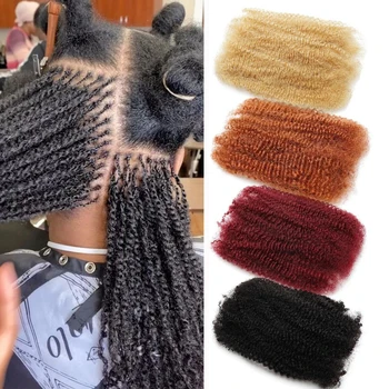 Afro Kinkys cheveux humains en vrac pour Extensions de Dread...