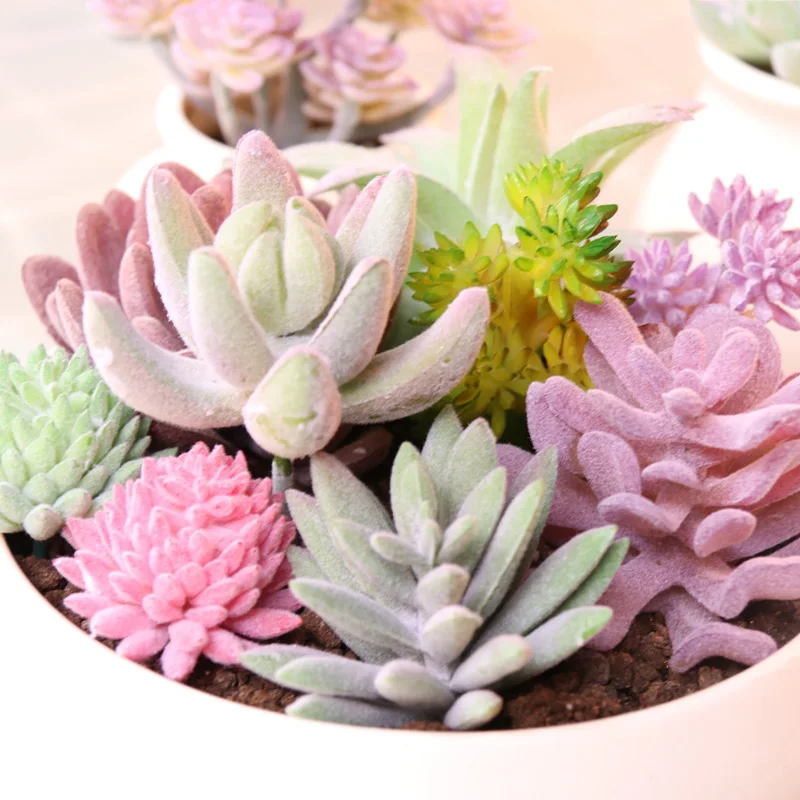 Home Garden Decoration Artificial Plants Festive & Party Supplies Succulents Plants Flower Arrangement Accessories Fake Plants