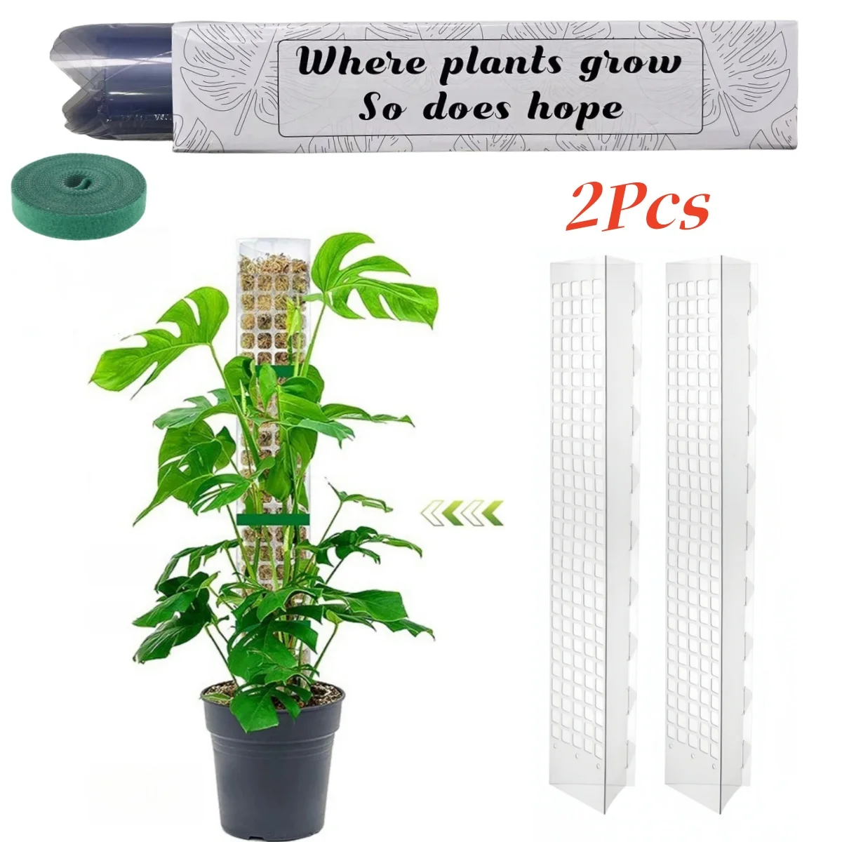 Mospaal Plastic Plant Stand Indoor Klimplanten Guardian Tutors Pot Mos Stok Voor Planten Groei Tuin Ondersteuning Accessoires