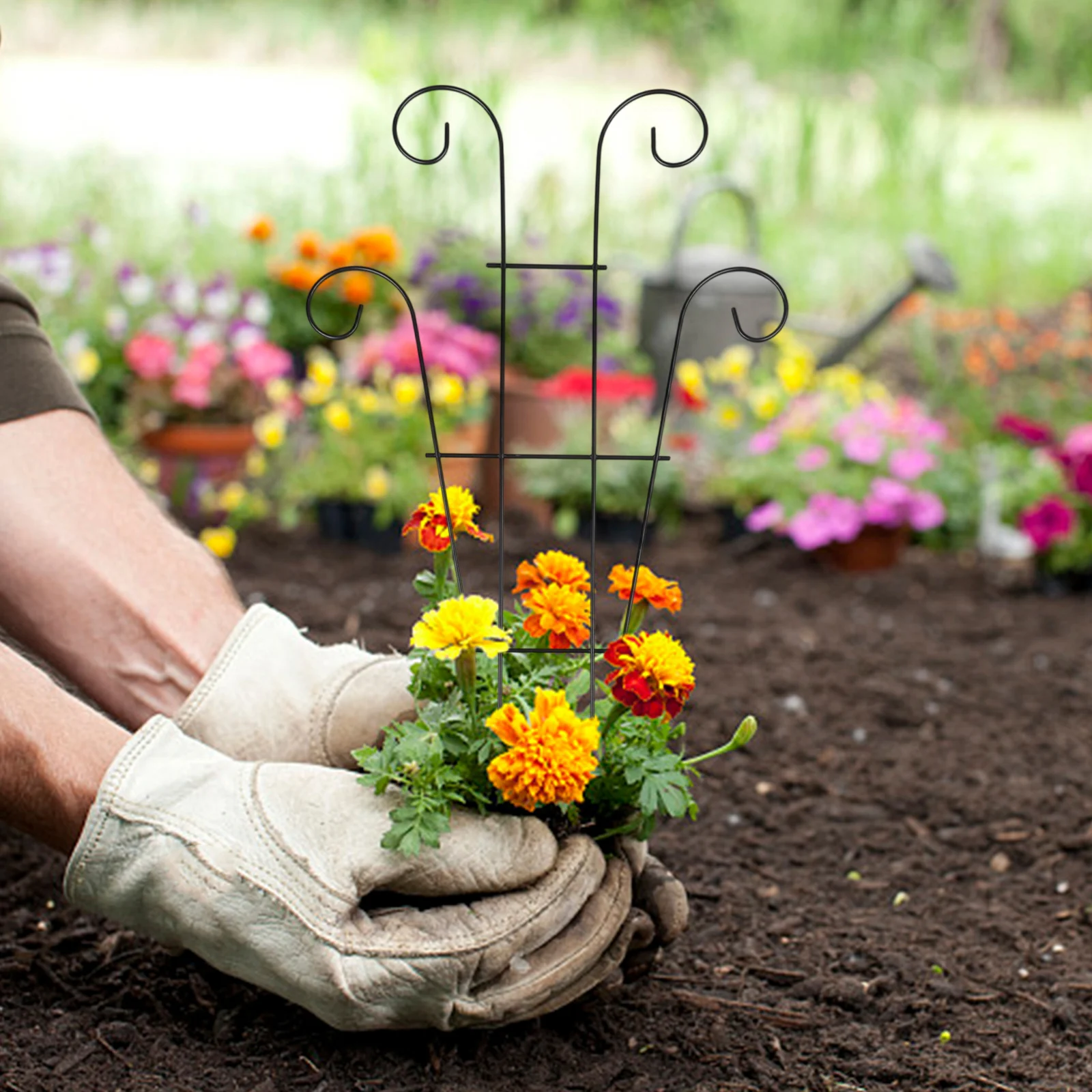 Plant Climbing Lattice Frame Iron Construction for Potted and In-Ground Use Supports Roses Sunflowers Lilies Peonies Zinnias