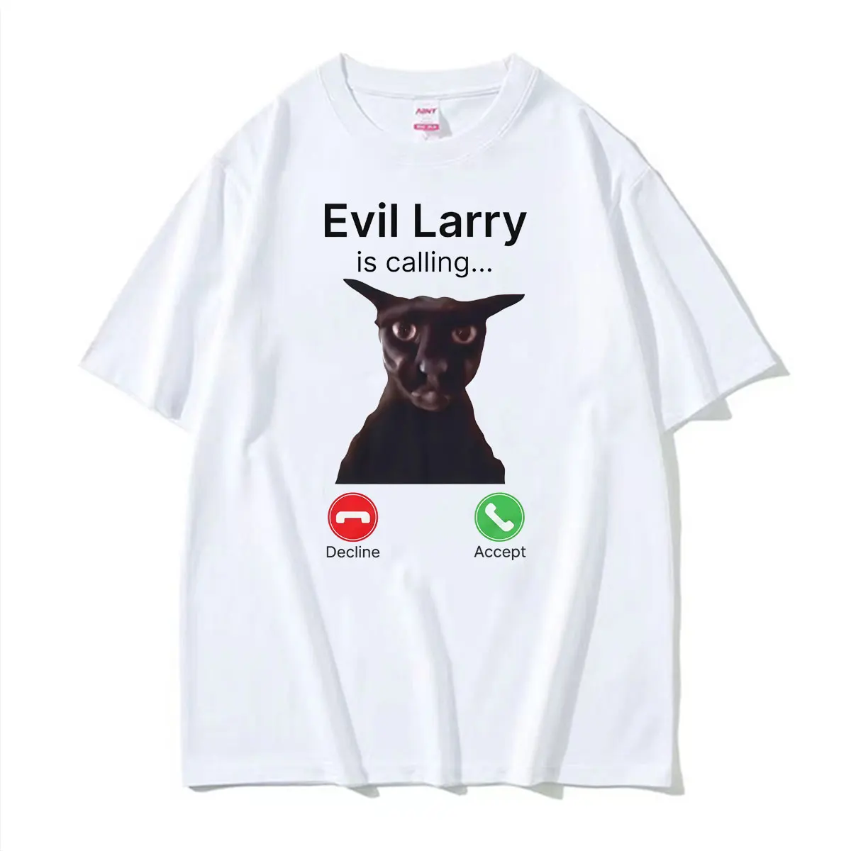T-shirts drôles pour hommes, motif « Evil Larry Is Calling Larry Cat », style streetwear, 100 % coton, t-shirts décontractés, hauts amples, T-shirts.