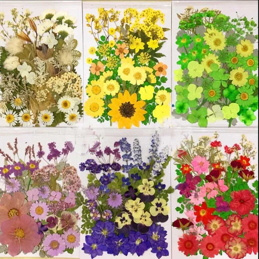 50pcs Mixed Dried Pressed Flowers Plant Herbarium For Jewelry Postcard Invitation Card Phone Case Art&Craft Making 7 Colors Pick