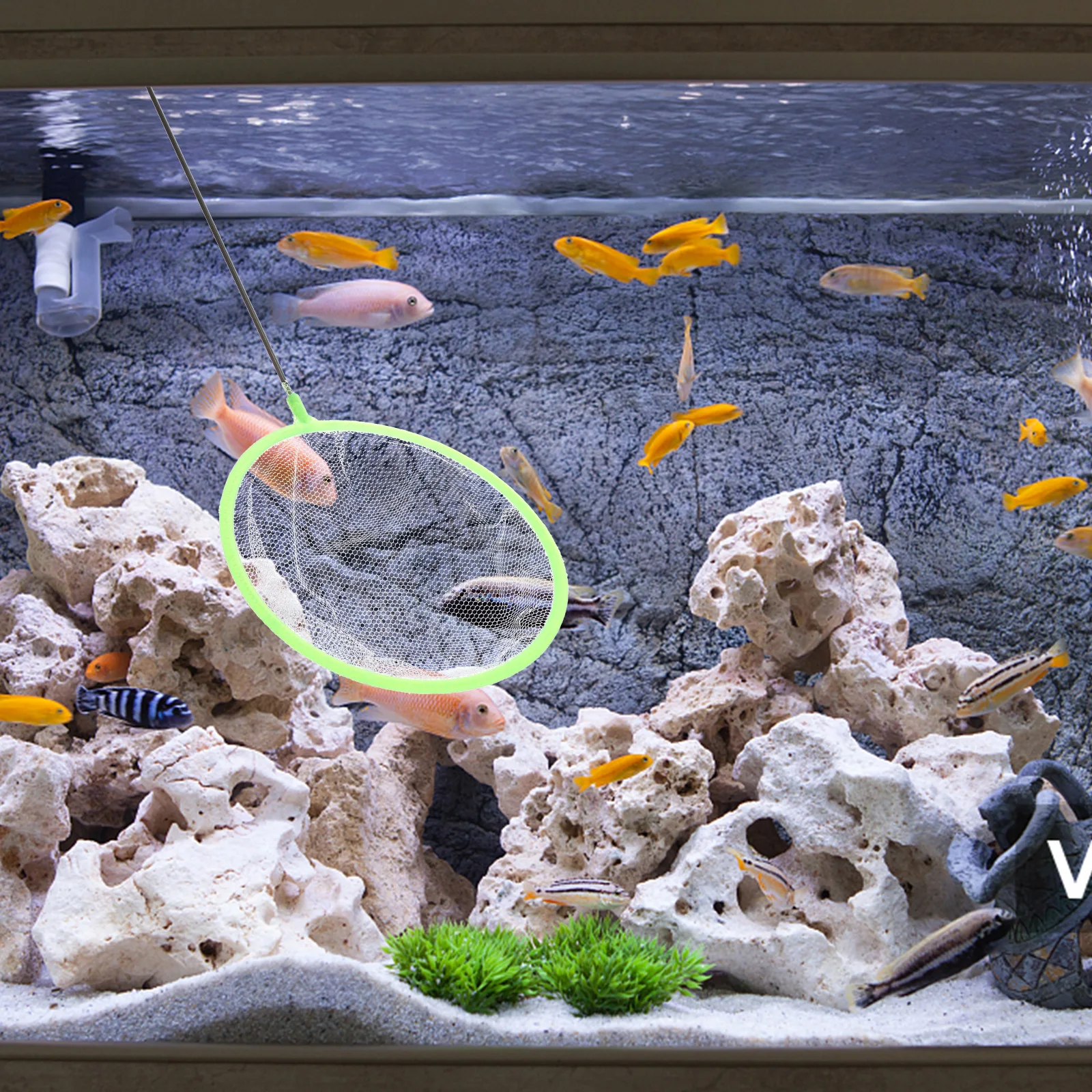 

20 Pcs Fish Tank Net Bag Decorative for Aquarium Fishing Accessory Small Cloth Betta Equipment Child
