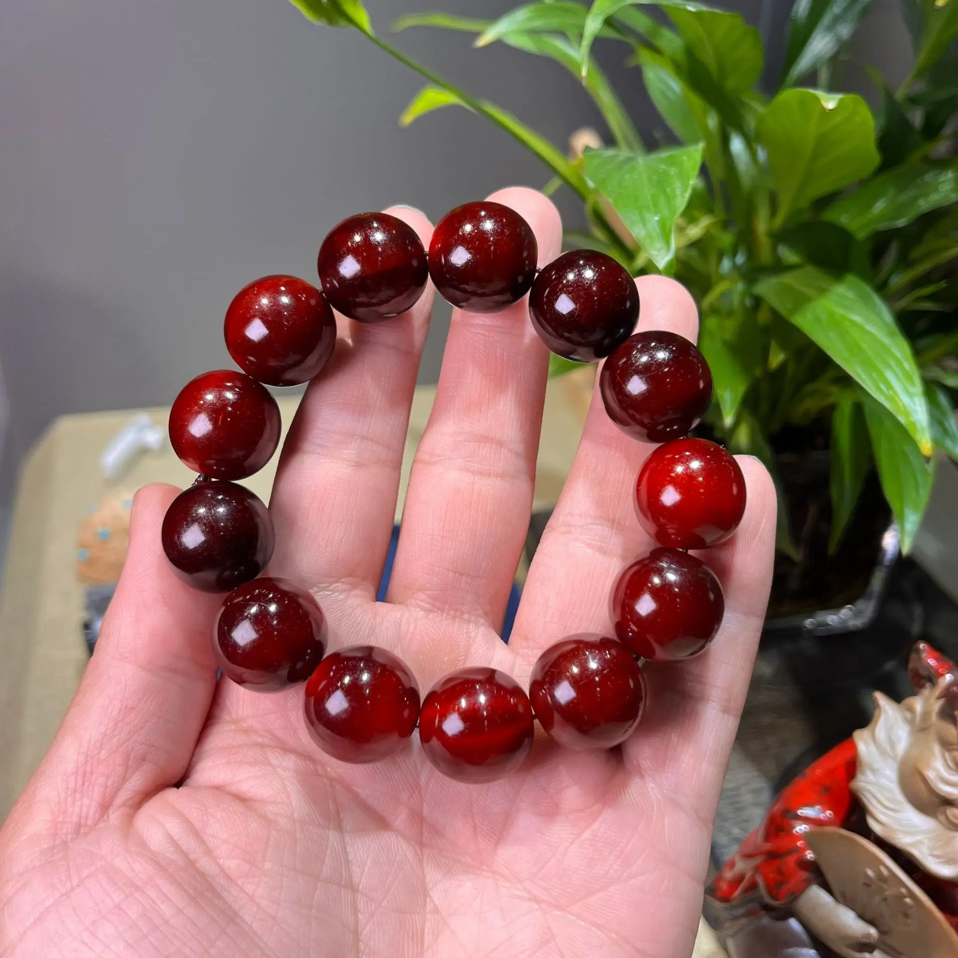 

Natural Blood Armour BraceletGolden Armour Mountain Turtle BraceletCultural Games BraceletBone Games BraceletRound Beads