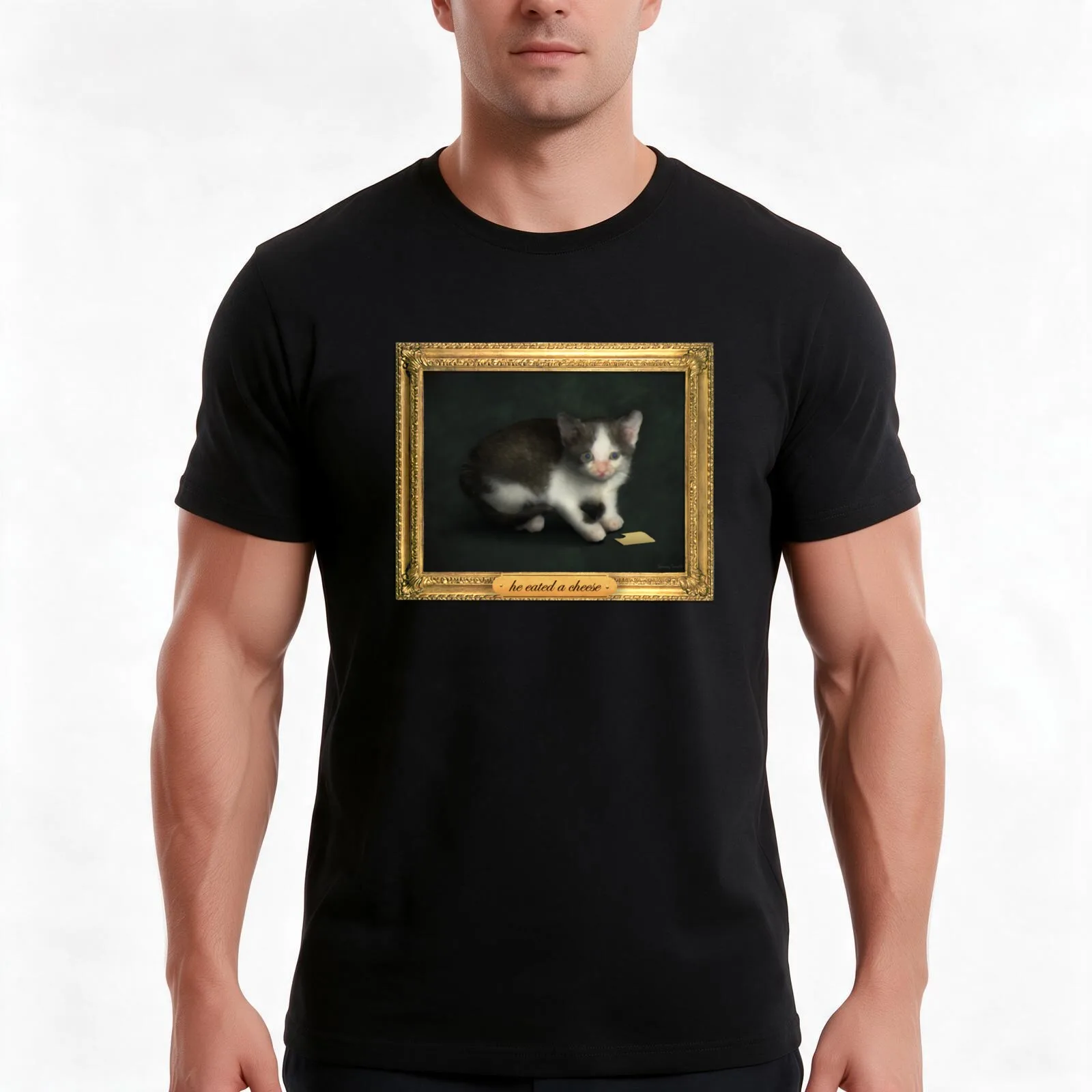 he eated a cheese cat meme portrait Classic T-Shirt Summer Casual Cotton Tee Oversized Streetwear Tops Vintage Graphic Print