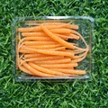 0009 30PCS 06