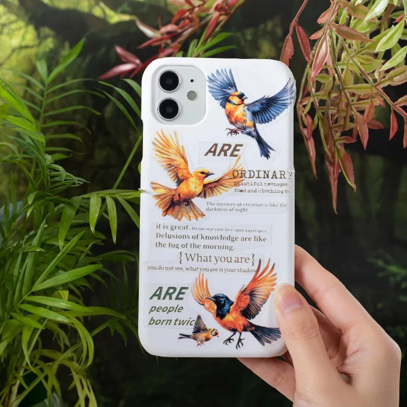 1 لفة 2 متر الشريط PET تحلق الطيور يموت قطع كتيب المواد الزخرفية حلقة ملصق المواد اللاصقة سكرابوكينغ قطع 50 مللي متر * 2 متر