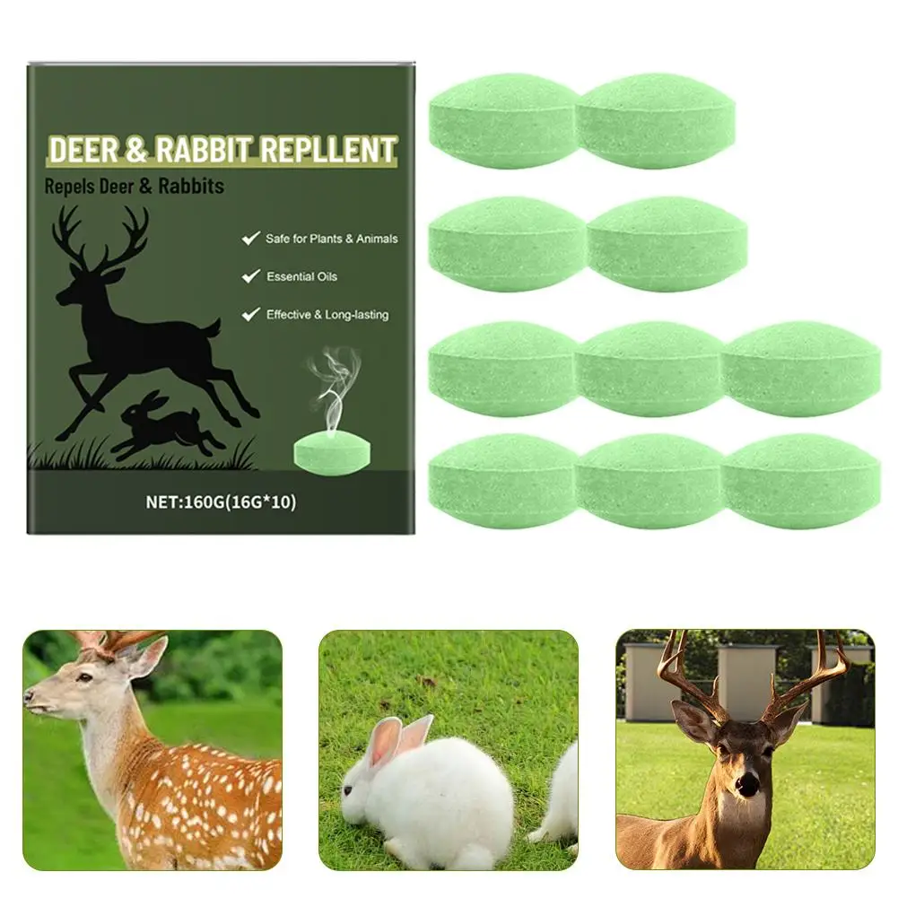 Understanding Harmlessness in Pest Repellents: A Complete Guide for Safe, Effective Protection