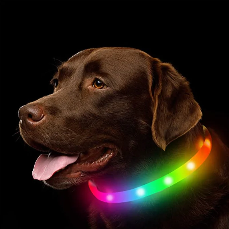 Luz LED Recargable USB Para Perros Y Mascotas - Impermeable, 3 Modos De Parpadeo Luz LED Recargable USB Para Perros Y Mascotas - Impermeable, 3 Modos De Parpadeo