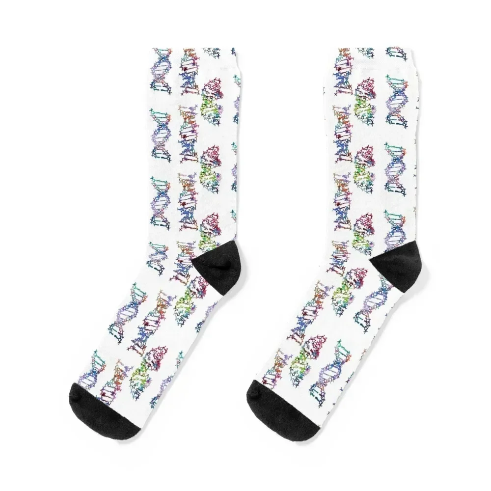 

Three DNA Chains Socks Novelties snow hiking cartoon Luxury Woman Socks Men's