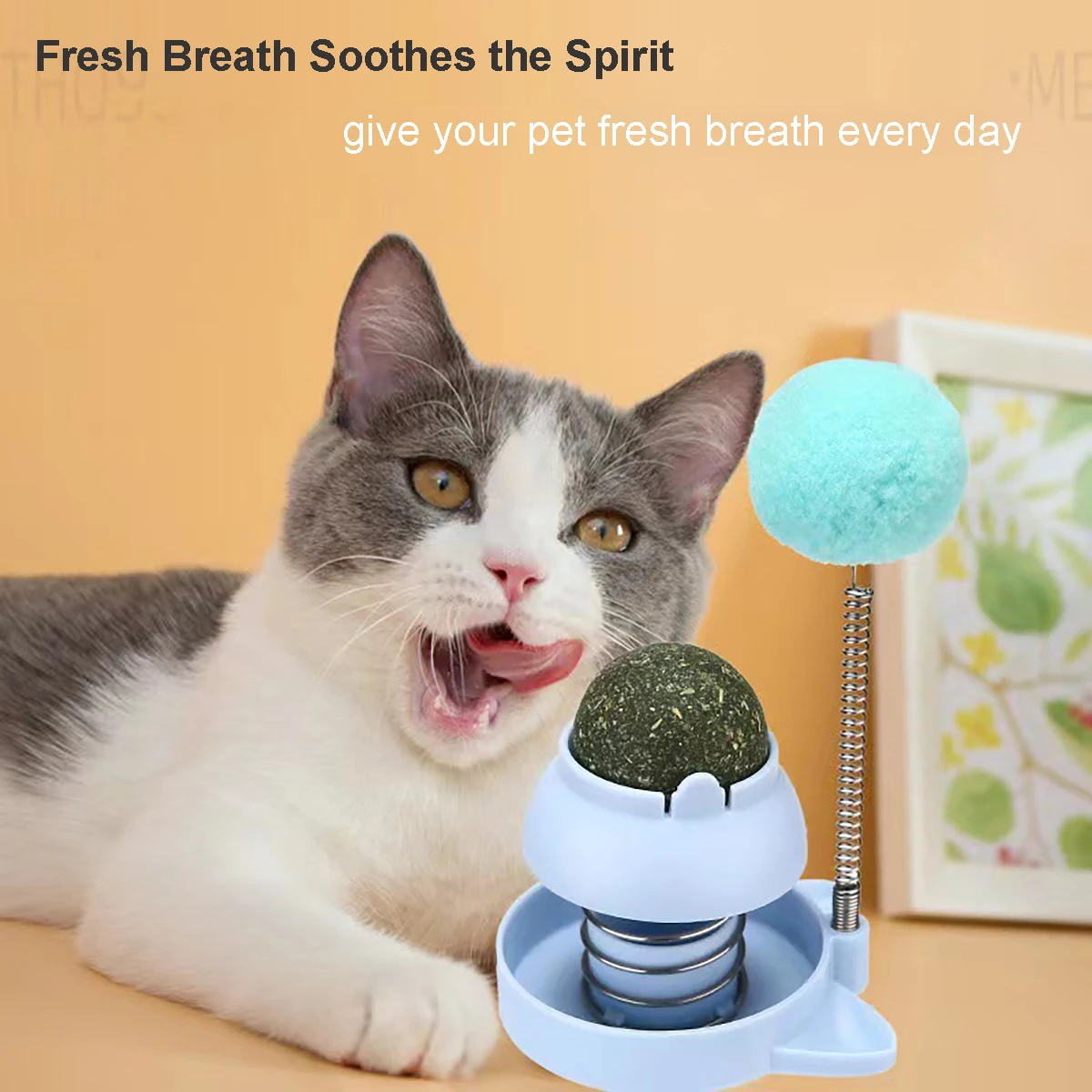 

Catnip Wall Ball Cat Toys for Cats Clean Mouth Promote Digestion Kitten Candy Licking Snacks Natural Mint Ball with Spring Ball