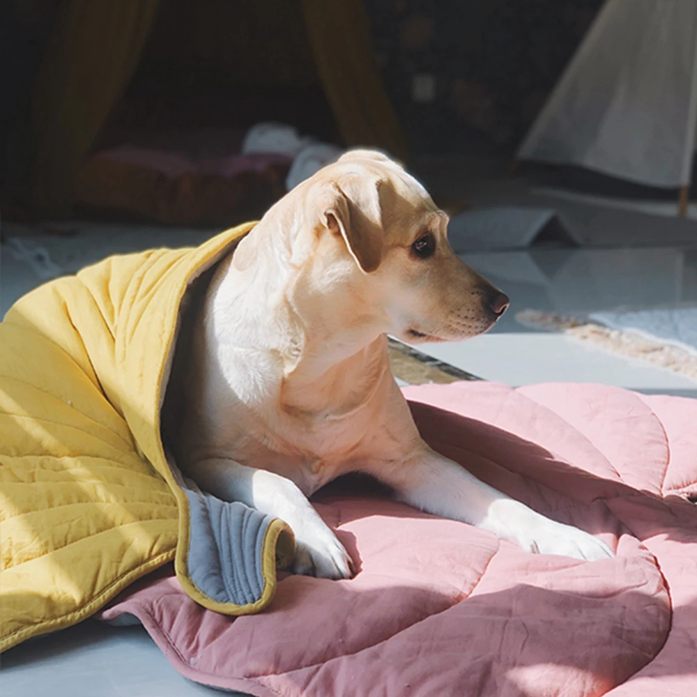 Cat Bed Mat Leaf Shape Soft Dog Bed Mat Washable Non-Slip Room Decoration Floor Rug for Medium Small Dogs And Cats Kennel Pad