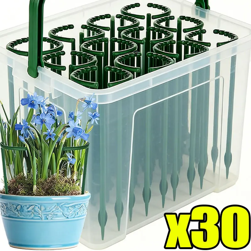 Support de plante en plastique semi-circulaire 30-1PCS, support de tuteur fixe pour arrangement de jardinage, support de fleurs grimpantes, outil pour bonsaï