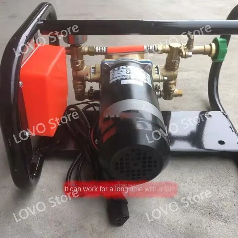 20P 12V48V Portable Spraying High-Pressure Double-Cylinder Plunger Pump Agricultural Electric Sprayer 