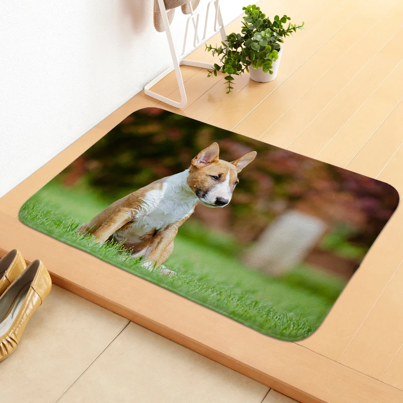 Bull Terrier Dog Foot Mat Carpet Entrance of House Mat for Hallway Washable Non-slip Kitchen Bathroom Bedroom Living Room Rug