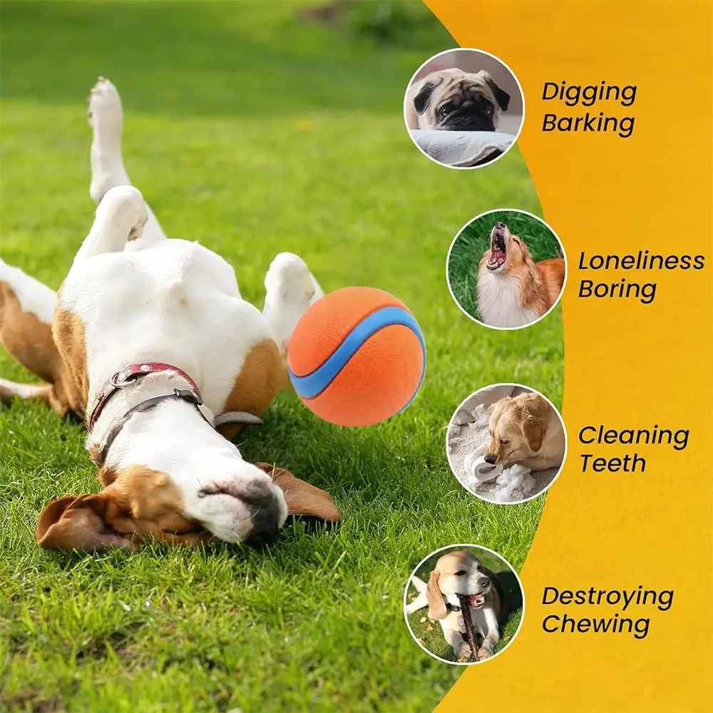 Thumbnail 3 - #67 Trending Dog Balls Right Now