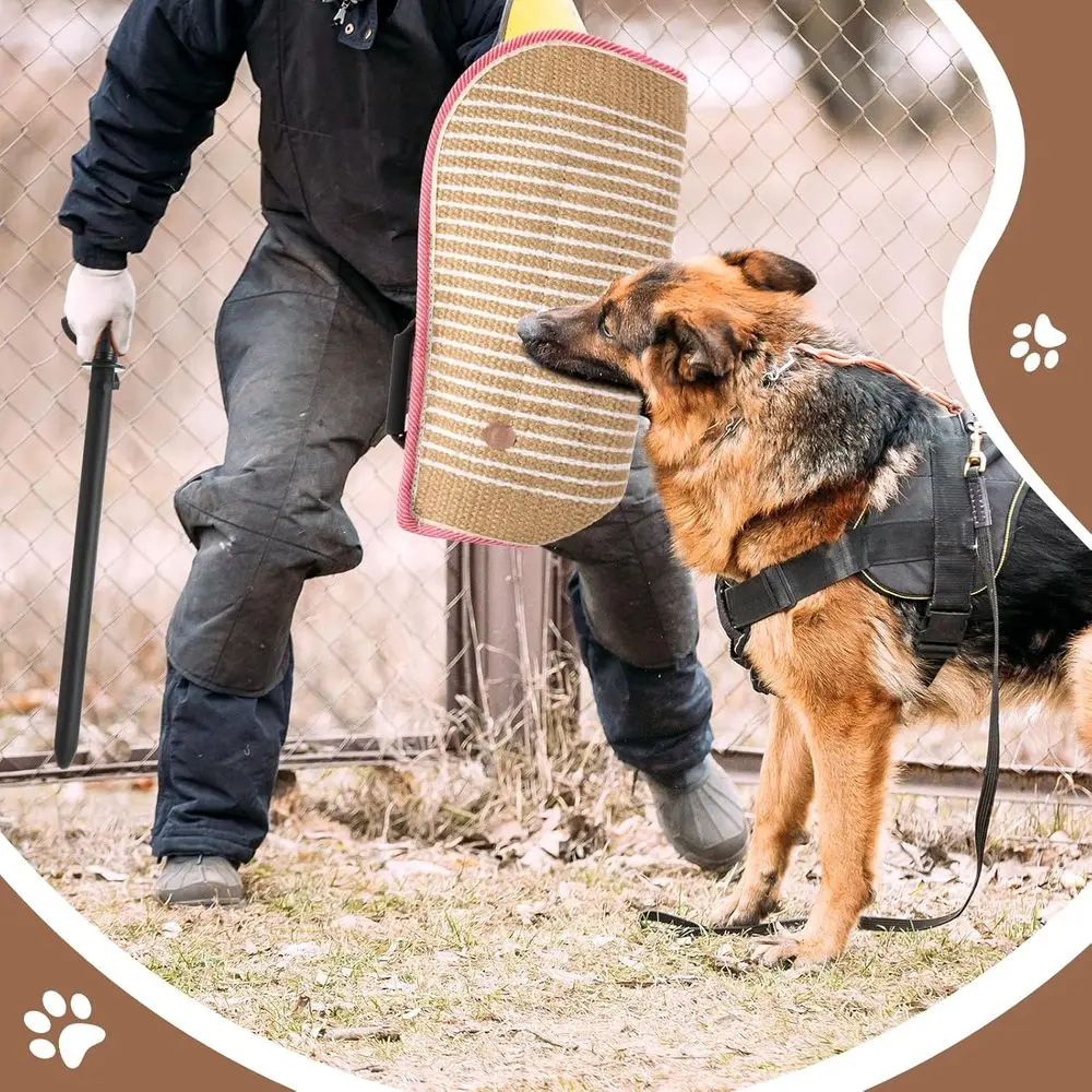 طقم تدريب لدغة الكلاب مع أكمام وسوط وعصا لـ K9، الراعي الألماني، حماية الجرو والتدريب التفاعلي