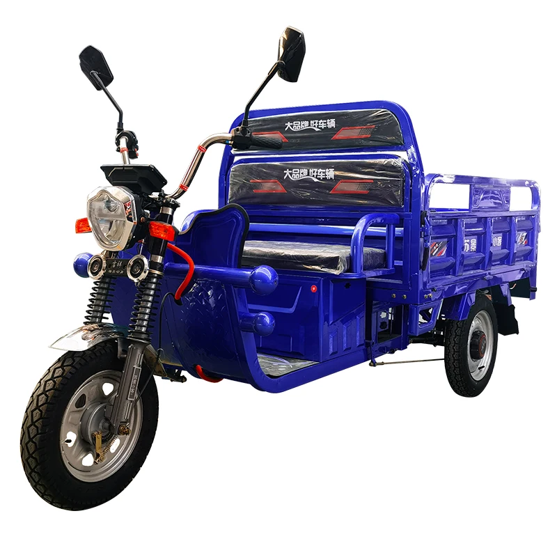 1200w Commercial Electric Cargo Tricycle For Adults Hot Sale Mini 2023