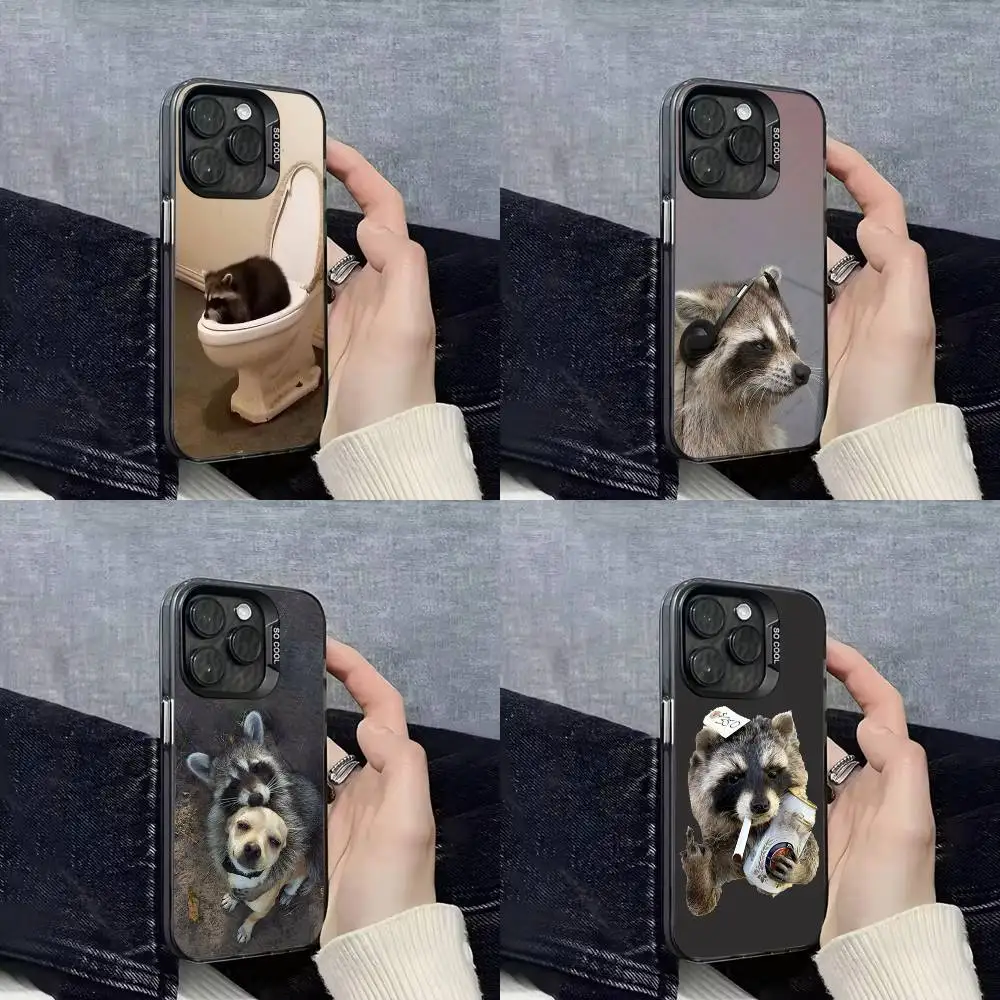 

Cute Raccoon Funny Phone Case For iPhone 16,15,14,13,12,11,Mini,Pro,E,SE4,XS,MAX Black Candy Matte Shell