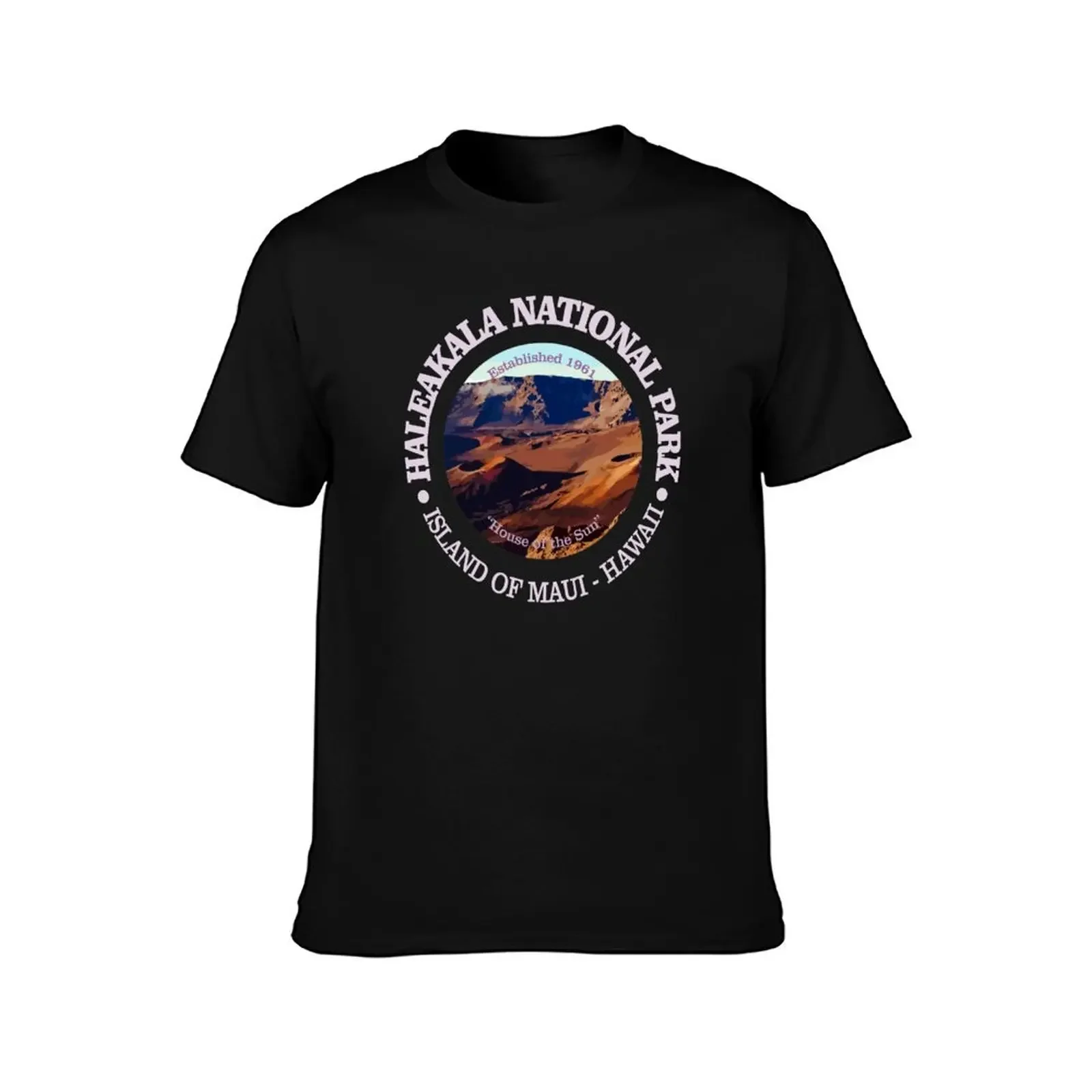 Haleakala National Park (NP) T-Shirt anime tshirt customs design your own sublime man clothes workout shirts for men