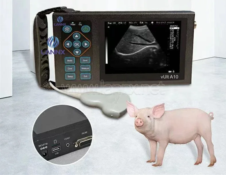 LANNX vUlt A10 Pet Hospital Equipment ultrasonido Handheld vet portable USG full digital portable Veterinary ultrasound machine