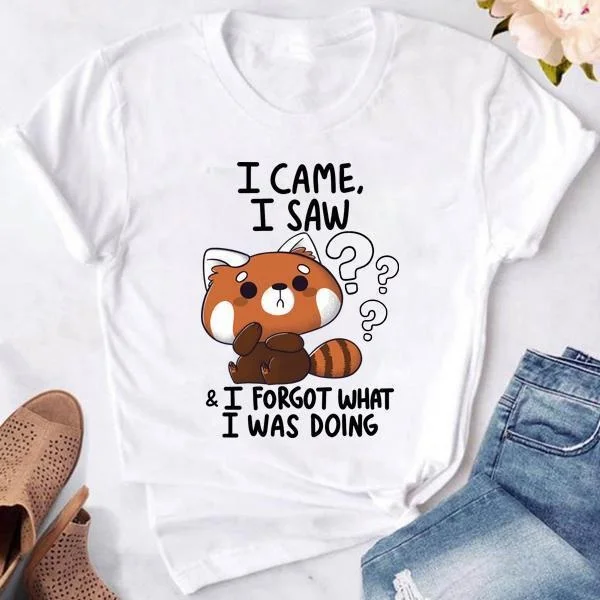 Cute Raccoon I Came I Saw T-shirts For Women Summer Tee Shirt Femme Casual Short Sleeve Round Neck Tops T-shirts
