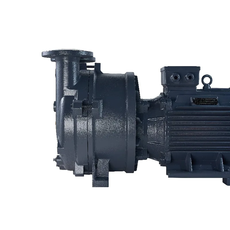 Corrosion Resistance Low Noise Operation 2BV Water Ring Vacuum Pump