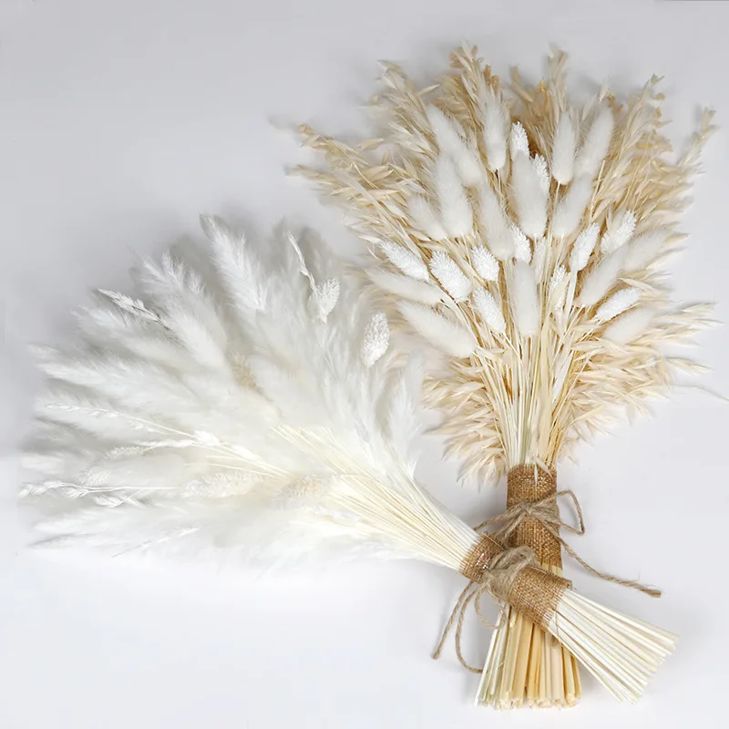 Natural Dried Pampas Grass Small Reed Wedding Arrangement Decorations Natural Pampas Grass Plants Flowers Boho Home Party Decor