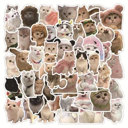 Pegatinas de gatos Kawaii de 60 piezas para niños, calcomanías de dibujos animados de gatitos, para álbum de recortes, portátil, papelería, nevera