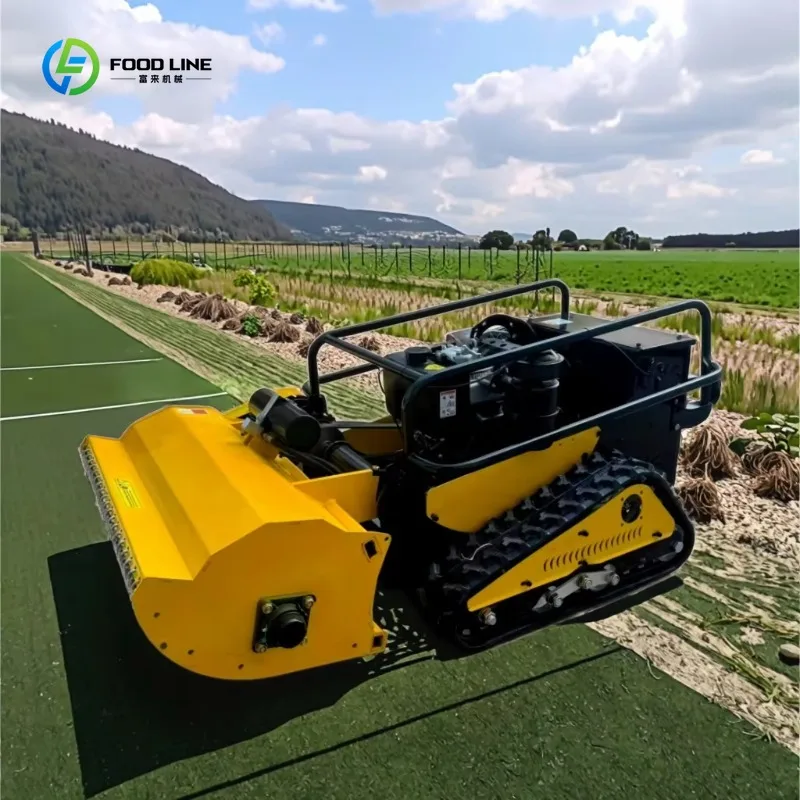 Customized Commercial Grade 4-Stroke Self-Propelled High Power CE Approved Remote Control Flail Mower