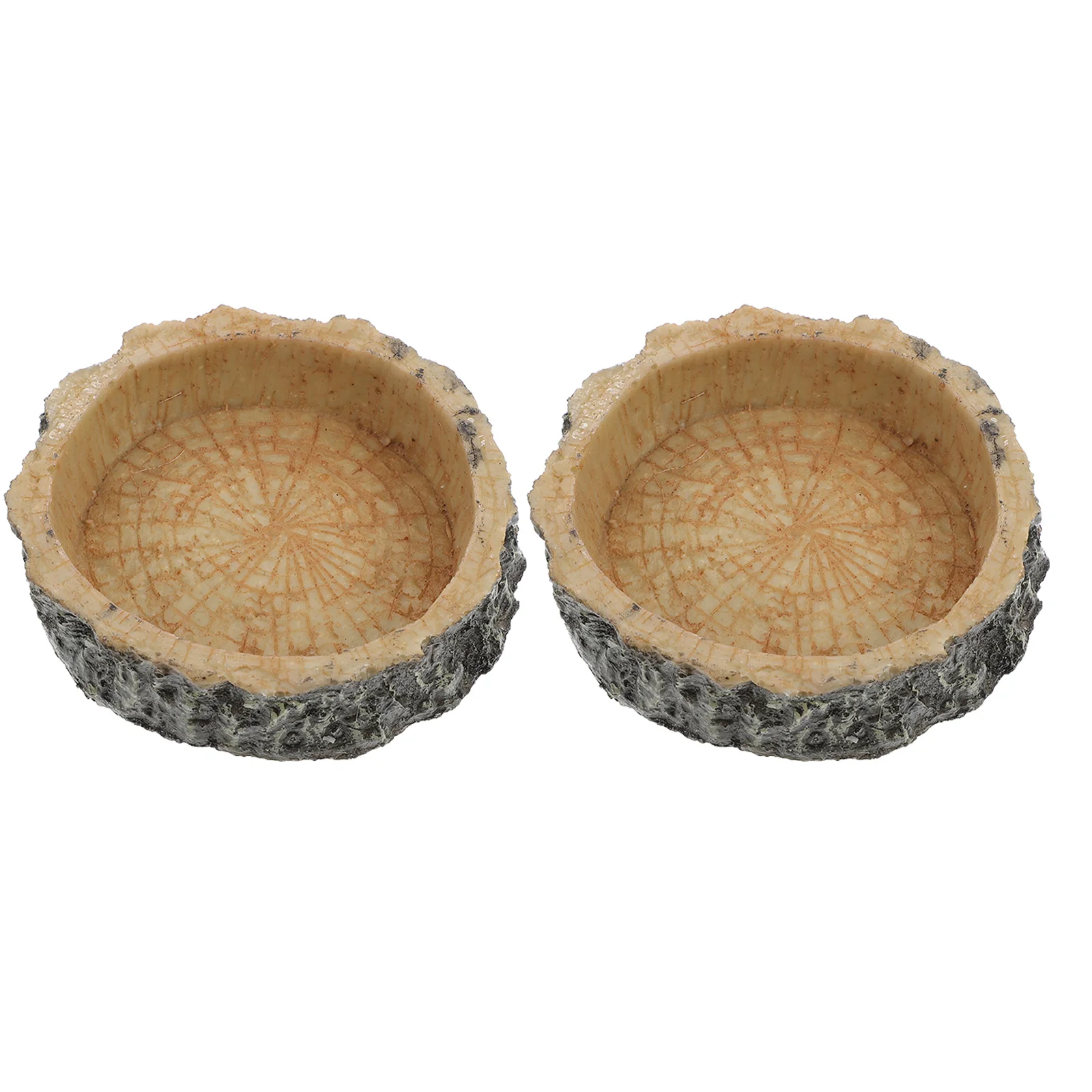 

2 Pcs Reptile Feeding Bowl and Watering Tortoise Feeder Lizard Food Holder Animal
