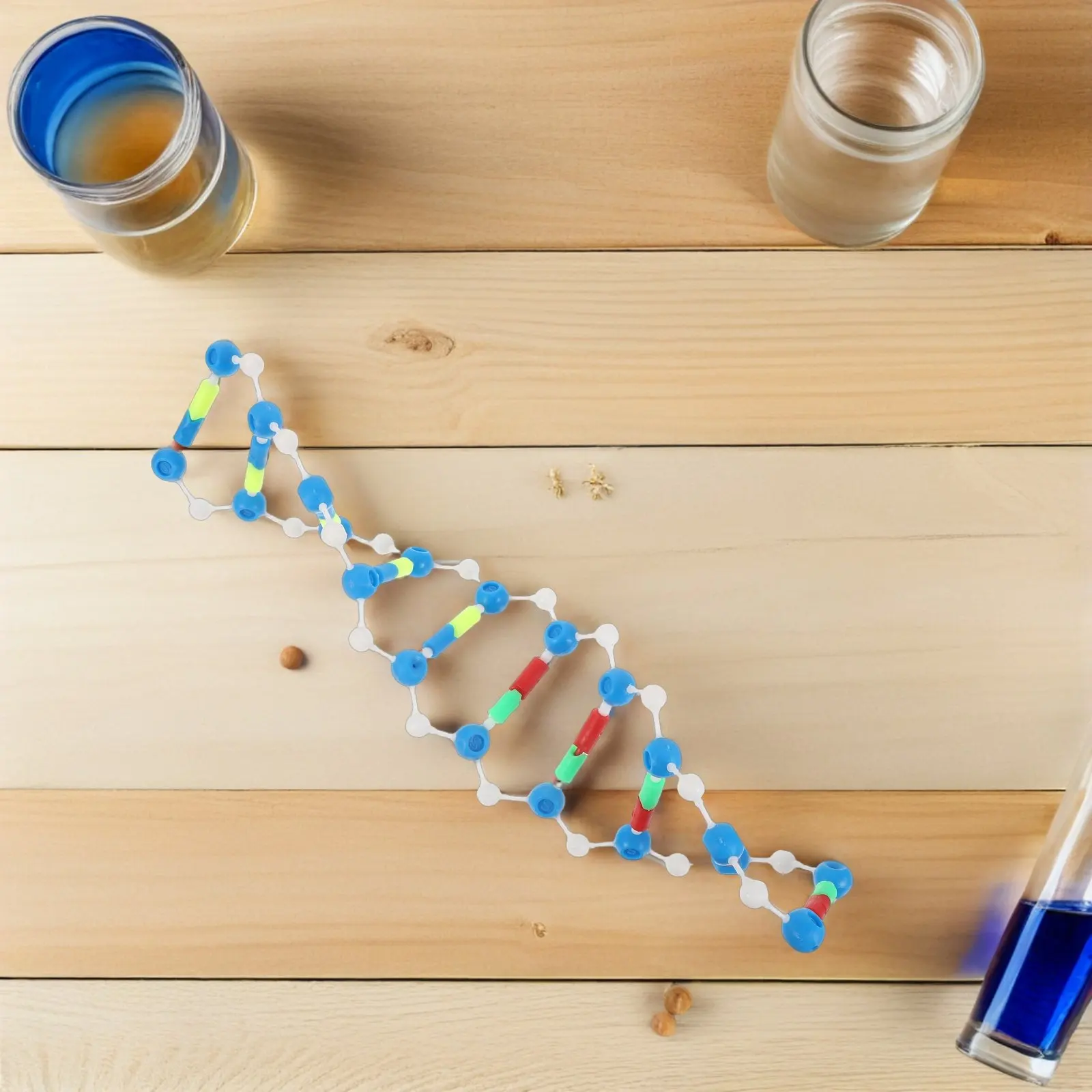 

Dna Double Helix Scientific Molecular Structure Teaching Tool Classroom Human Genes Biology Supply Educational Science Learning