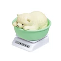 polar bear baby