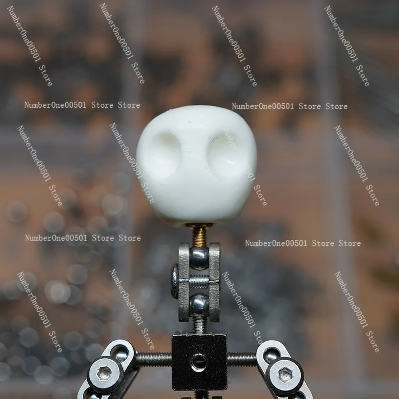 

Full metal frozen frame animation character skeleton stainless steel skeleton DIY animation doll flexible wear resistance