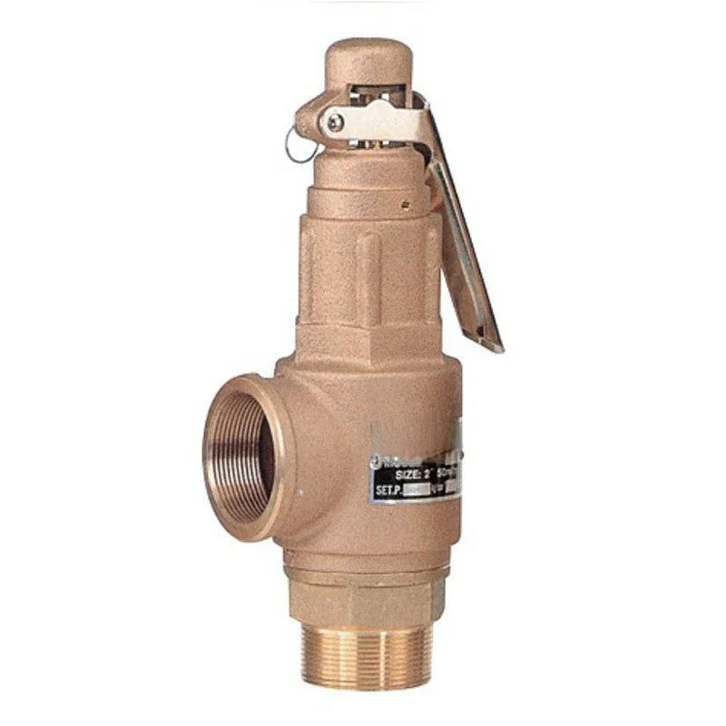 DN50 2 inch  Thread Brass Bronze Boiler Steam Safety Relief Valve with Lever