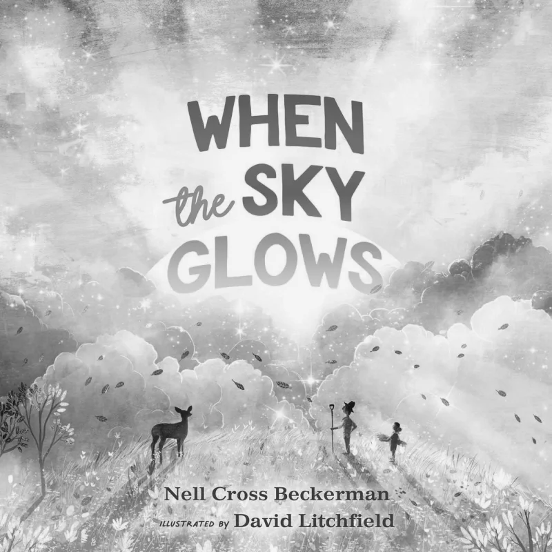 David LitchfieldWhen The Sky Glows David Litchfield Simon  Schuster 9781534450394 Book