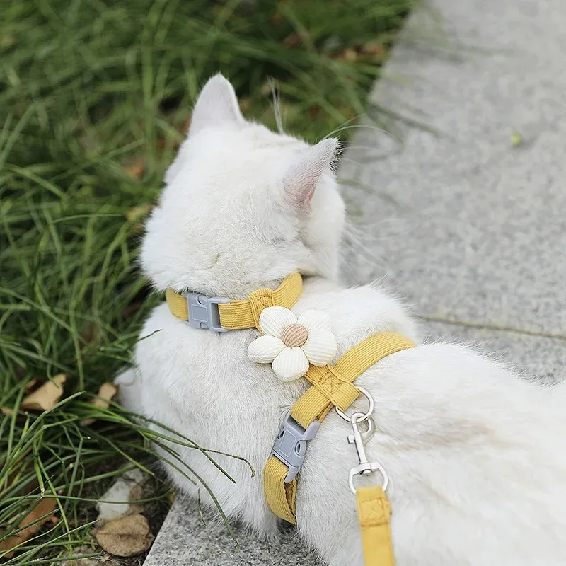 

Cat Harness and Leash Sets Adjustable Dog Harness for Small Dog Leash Breashable Pet Harness Out Walking Dog Strap