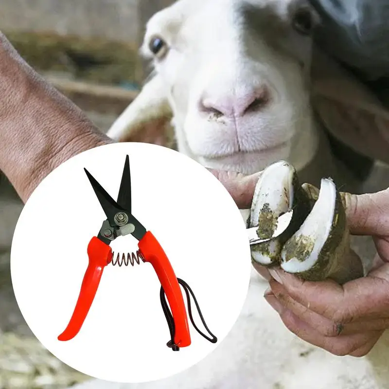 Goat Hoof Trimmers Ergonomic Sheep Hoof Shears Precision Nail Clippers for Alpaca Lamb Pig Hooves Multi-Purpose Goat Trimmers