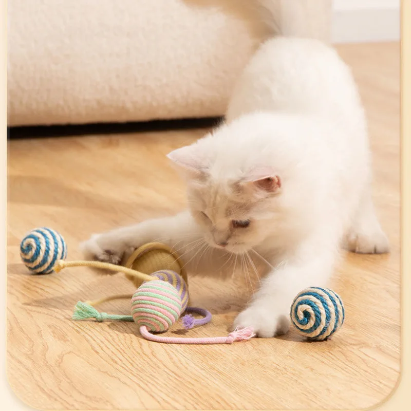 The Cat Is High, Resistant To Biting The Ball, Teasing The Cat To Knot Rope