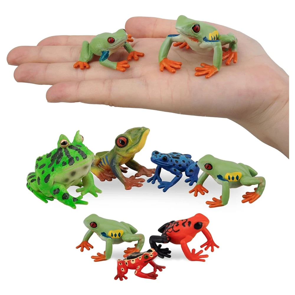 Frogs Toy Animals Figures Rana Bullfrog Squishy Frog Rainforest Animal Figurines Action Figure Children Toys Games Kids Gifts