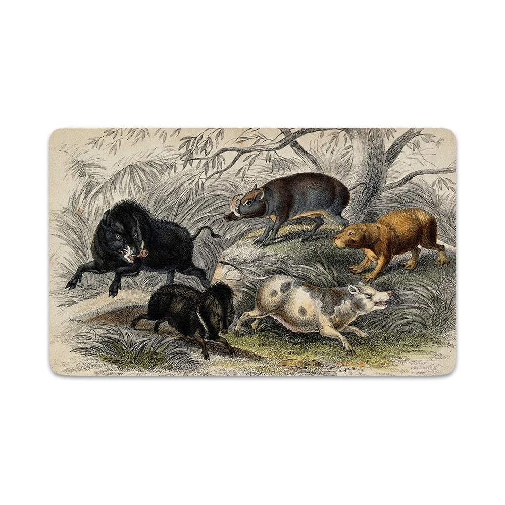 

HX Animals Doormats Boar Art Painting 3D Printed Carpets for Living Room Flannel Indoor Hallway Rug Bath Mat Dropshipping